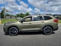  2022 Ascent Onyx Edition Autumn Green Metallic