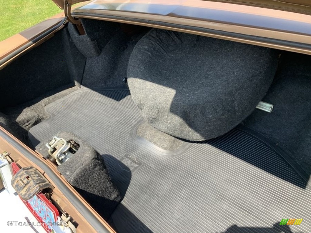 1976 Cadillac Eldorado Biarritz Coupe Trunk Photos