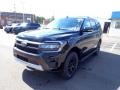 Agate Black Metallic - Expedition Timberline 4x4 Photo No. 4