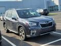 Dark Gray Metallic - Forester 2.5i Touring Photo No. 3