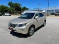 Satin Cashmere Metallic - RX 350 AWD Photo No. 1