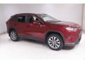 Ruby Flare Pearl - RAV4 XLE AWD Photo No. 1