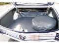 1965 Buick Wildcat Convertible Trunk