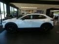 Snowflake White Pearl Mica - CX-30 Turbo AWD Photo No. 6
