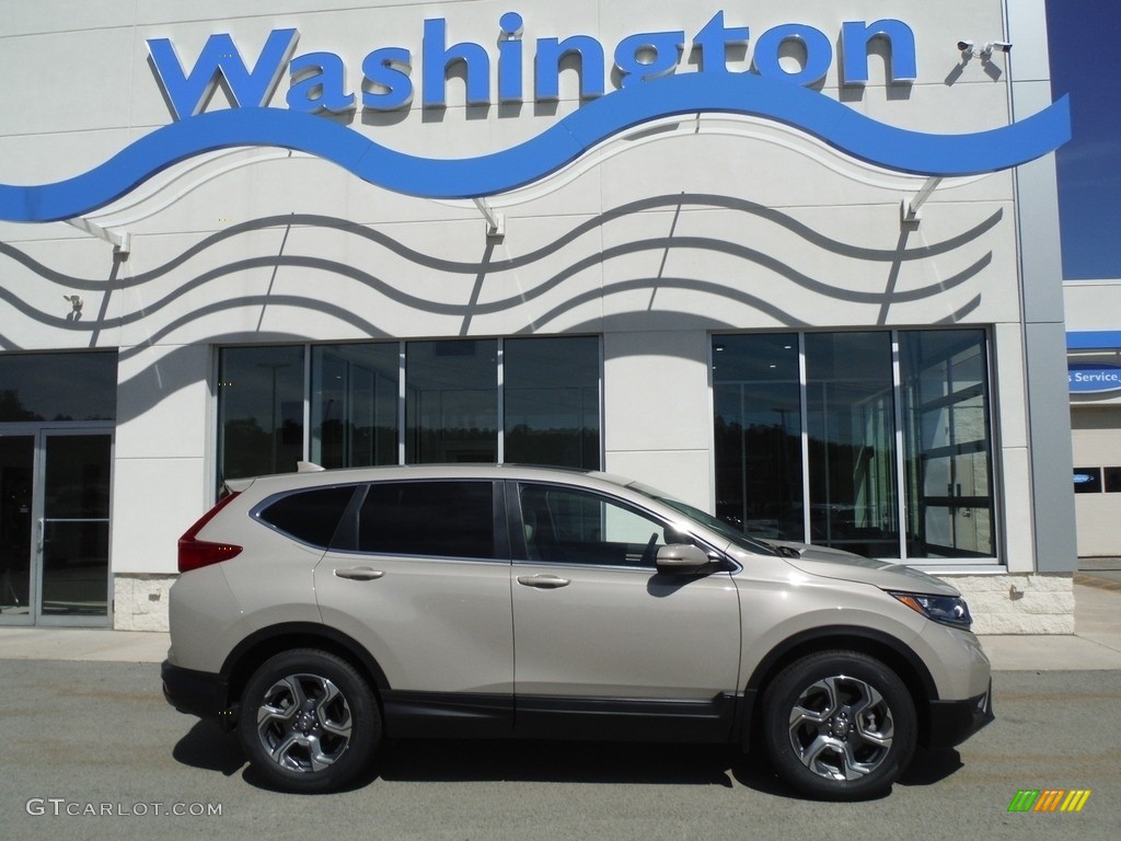 2019 CR-V EX AWD - Sandstorm Metallic / Ivory photo #2