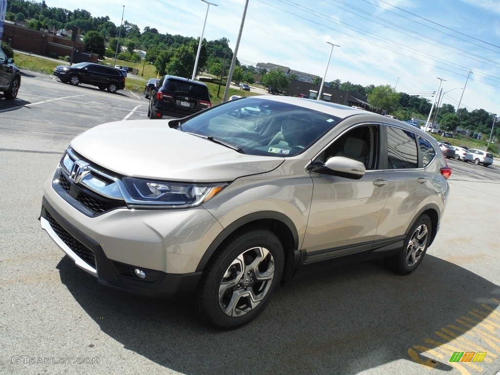 2019 CR-V EX AWD - Sandstorm Metallic / Ivory photo #6