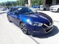 Deep Blue Pearl - Maxima SV Photo No. 2