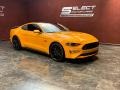 2019 Orange Fury Ford Mustang GT Premium Fastback  photo #3