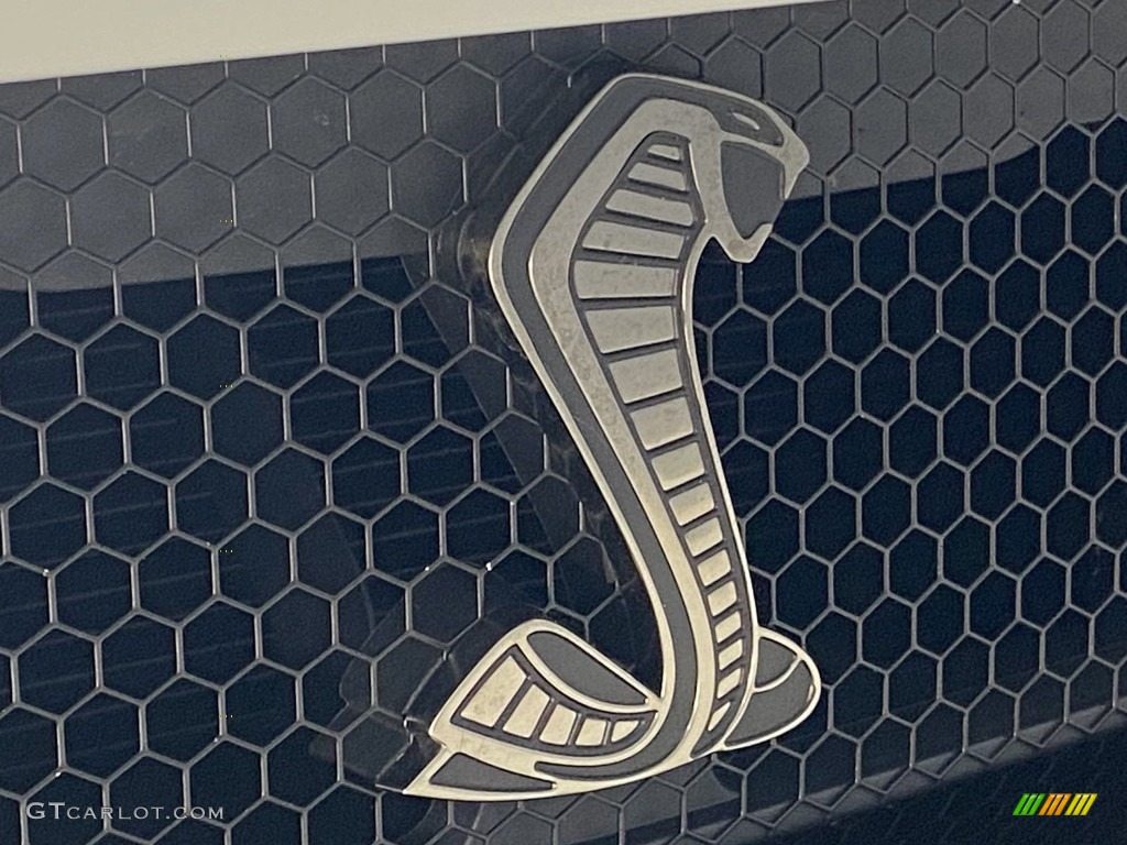 2021 Ford Mustang Shelby GT500 Marks and Logos Photo #144475480