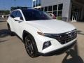 2022 Quartz White Hyundai Tucson Limited AWD  photo #9