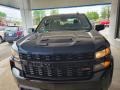 2022 Northsky Blue Metallic Chevrolet Silverado 1500 Limited Custom Trail Boss Crew Cab 4x4  photo #9