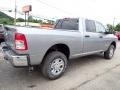 Billet Silver Metallic - 2500 Tradesman Crew Cab 4x4 Photo No. 5