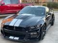 2020 Shadow Black Ford Mustang Shelby GT500  photo #9