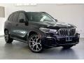 2019 Carbon Black Metallic BMW X5 xDrive50i  photo #34