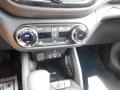 Mosaic Black Metallic - TrailBlazer RS Photo No. 29