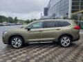 2022 Ascent Limited Autumn Green Metallic