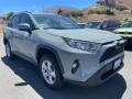 Lunar Rock - RAV4 XLE Photo No. 3