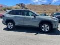 Lunar Rock - RAV4 XLE Photo No. 4