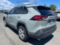 Lunar Rock - RAV4 XLE Photo No. 7