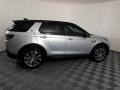 Hakuba Silver Metallic - Discovery Sport S Photo No. 11
