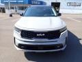 Wolf Gray - Sorento SX AWD Photo No. 3