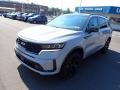 Wolf Gray - Sorento SX AWD Photo No. 4