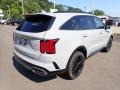 2022 Wolf Gray Kia Sorento SX AWD  photo #8