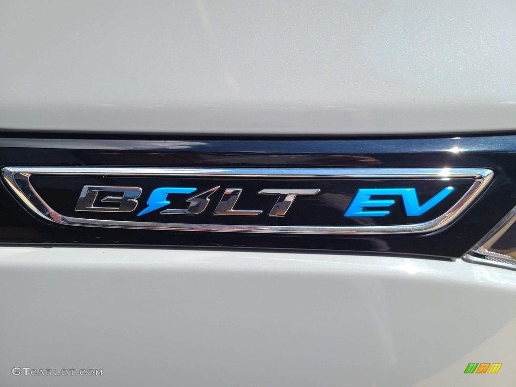 2019 Bolt EV LT - Slate Gray Metallic / Dark Galvanized/­Sky Cool Gray photo #3