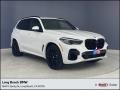 Alpine White - X5 xDrive40i Photo No. 1