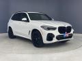 Alpine White - X5 xDrive40i Photo No. 27