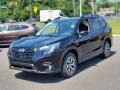Crystal Black Silica - Forester Premium Photo No. 1