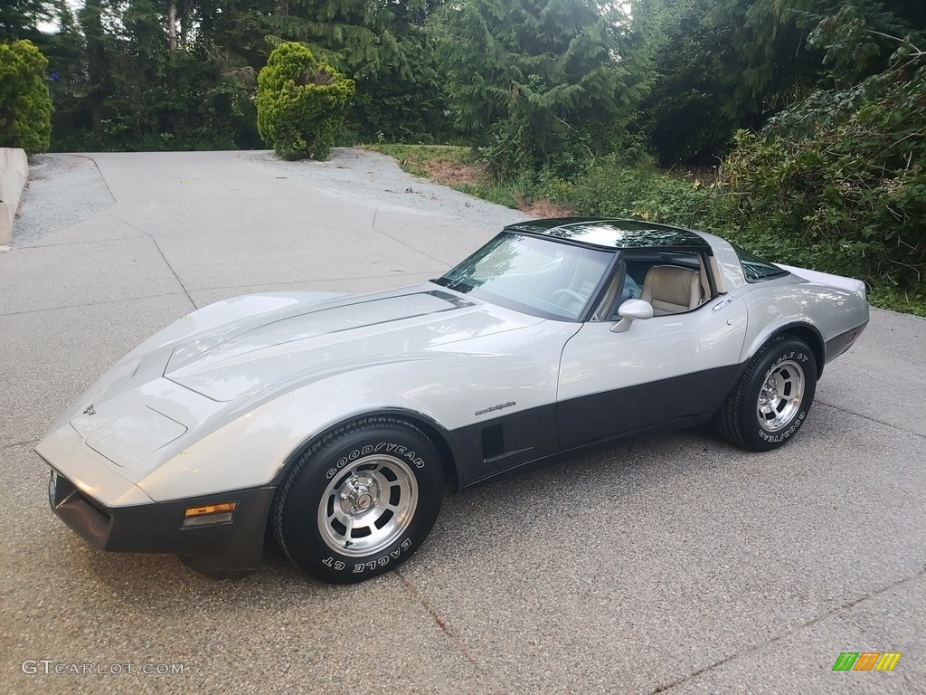 Silver 1982 Chevrolet Corvette Coupe Exterior Photo #144545046