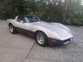 Silver 1982 Chevrolet Corvette Coupe Exterior