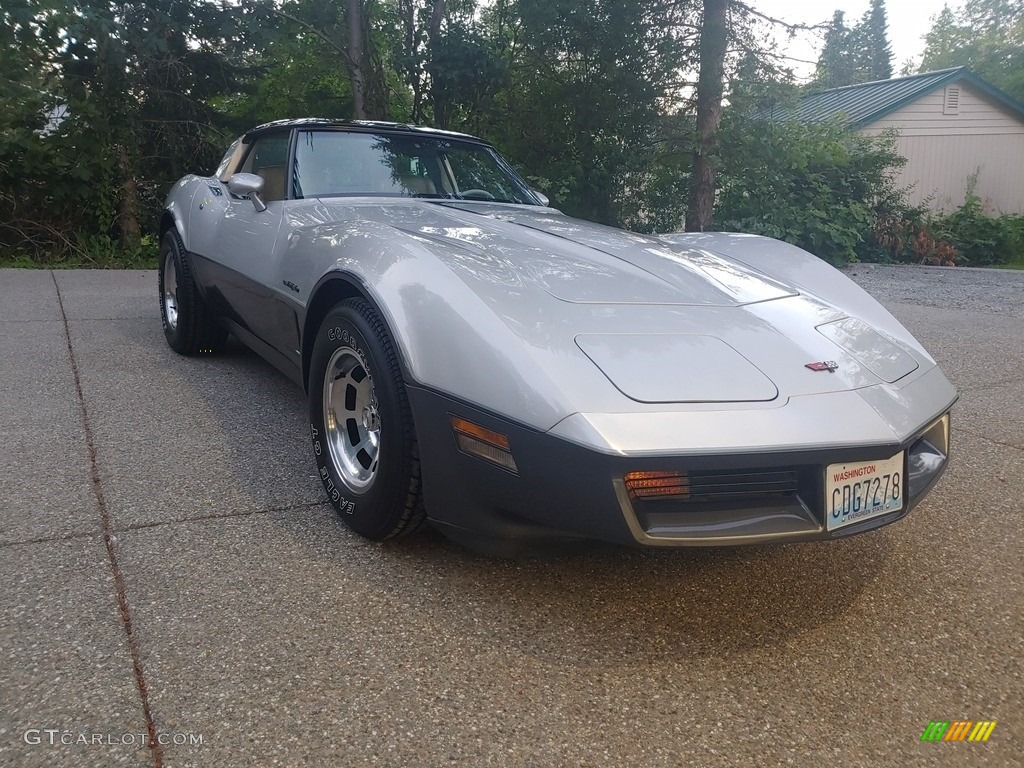 1982 Corvette Coupe - Silver / Silver Gray photo #5