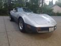 1982 Silver Chevrolet Corvette Coupe  photo #5