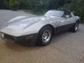 1982 Silver Chevrolet Corvette Coupe  photo #6