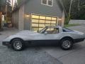 1982 Silver Chevrolet Corvette Coupe  photo #7
