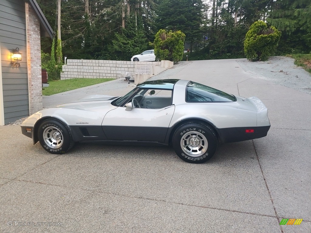 1982 Corvette Coupe - Silver / Silver Gray photo #8