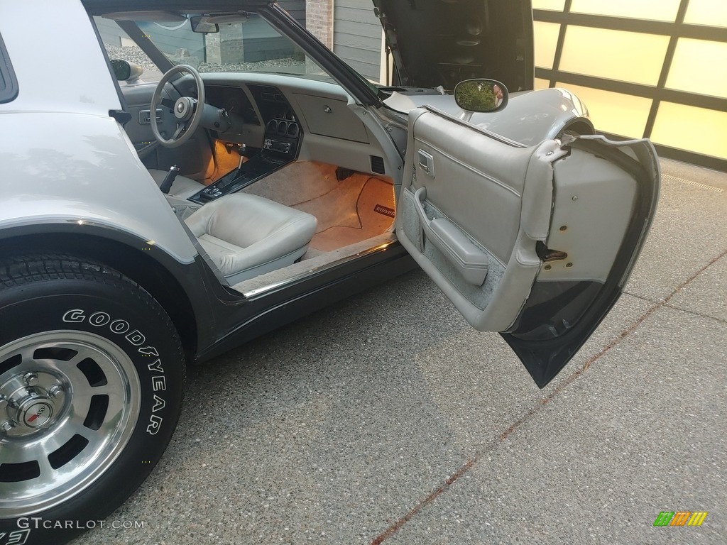 1982 Corvette Coupe - Silver / Silver Gray photo #12