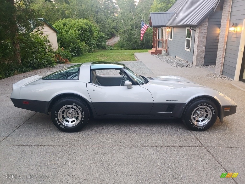 Silver 1982 Chevrolet Corvette Coupe Exterior Photo #144545258