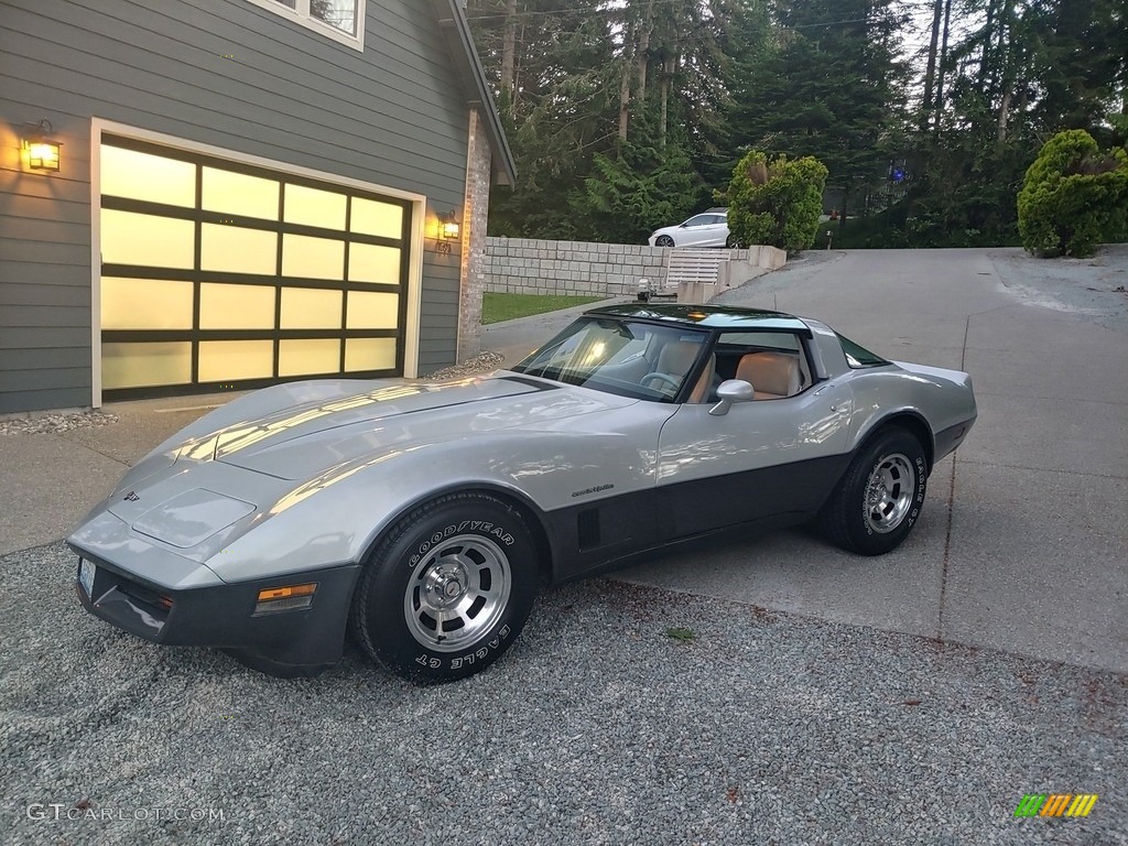 Silver 1982 Chevrolet Corvette Coupe Exterior Photo #144545271