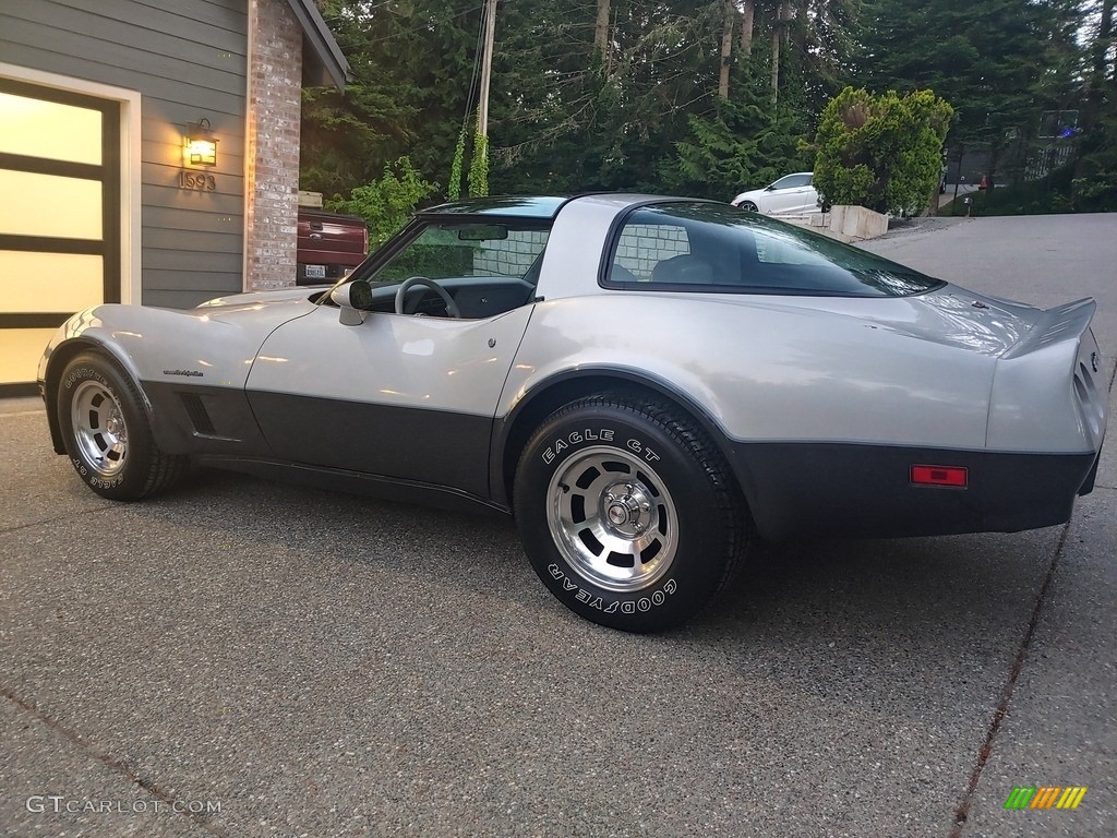 1982 Corvette Coupe - Silver / Silver Gray photo #16