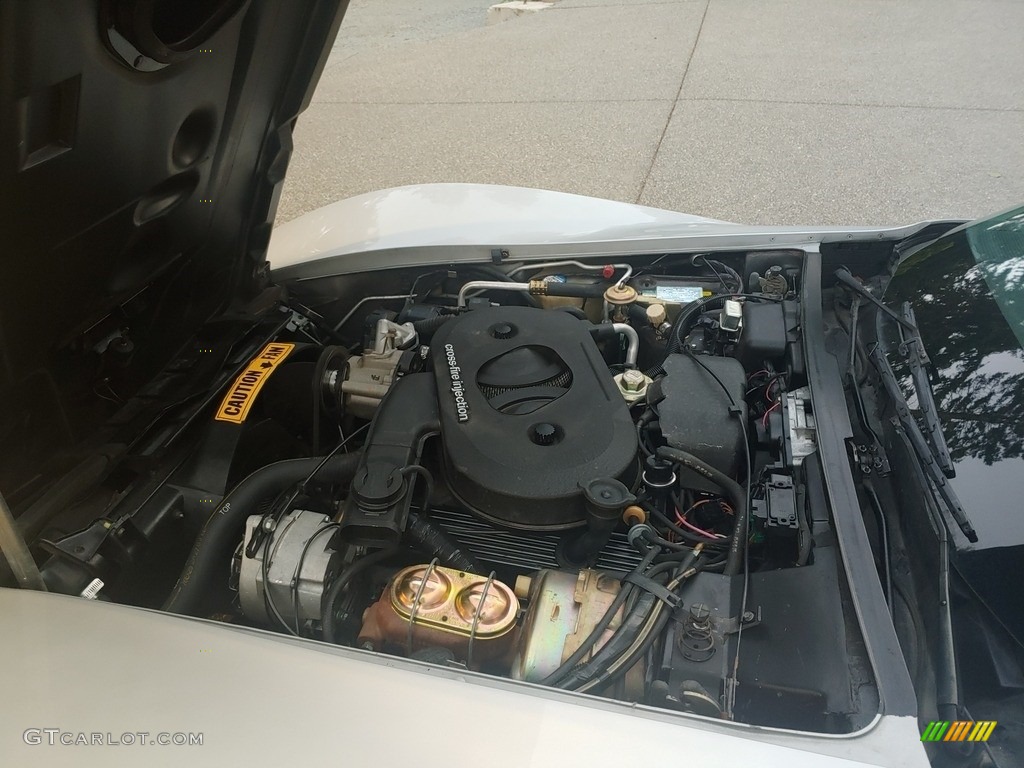 1982 Chevrolet Corvette Coupe 350 cid OHV 16-Valve V8 Engine Photo #144545300