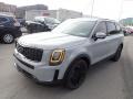 2021 Wolf Gray Kia Telluride SX AWD  photo #4
