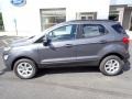 Smoke Metallic - EcoSport SE 4WD Photo No. 2