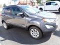 Smoke Metallic - EcoSport SE 4WD Photo No. 8