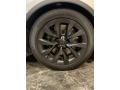2022 Tesla Model X Plaid Wheel and Tire Photo
