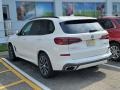 Mineral White Metallic - X5 xDrive50i Photo No. 7