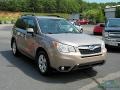 Burnished Bronze Metallic - Forester 2.5i Limited Photo No. 7