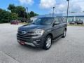 Magnetic 2018 Ford Expedition XLT 4x4